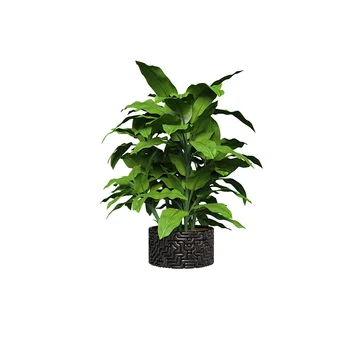 YOJA 18*23CM Zöld Növény Bonsai Friss Wc-WC-vel, Hálószoba Dekoráció Fali Matrica, Matrica T1-0975