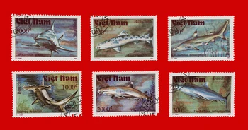6db/Set Vietnam Posta Bélyeget, a Tengeri Világ Emlős Cápa Használt Post Megjelölt Postai Bélyegek Gyűjtése