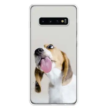 A Beagle Kutya Fedél Telefon tok Samsung Galaxy S20 FE S21 Ultra S10 Plusz S10E S9 S8 S7 S6 Szélén J4 J6 + J8 Fundas Capa