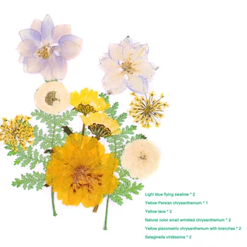 Helyszínen Préselt Virág Vegyes Szárított Virágok DIY Művészeti Virágos Dekorok Gyűjtemény Ajándék Kézműves DIY Fél Karácsonyi lakberendezési Eszköz